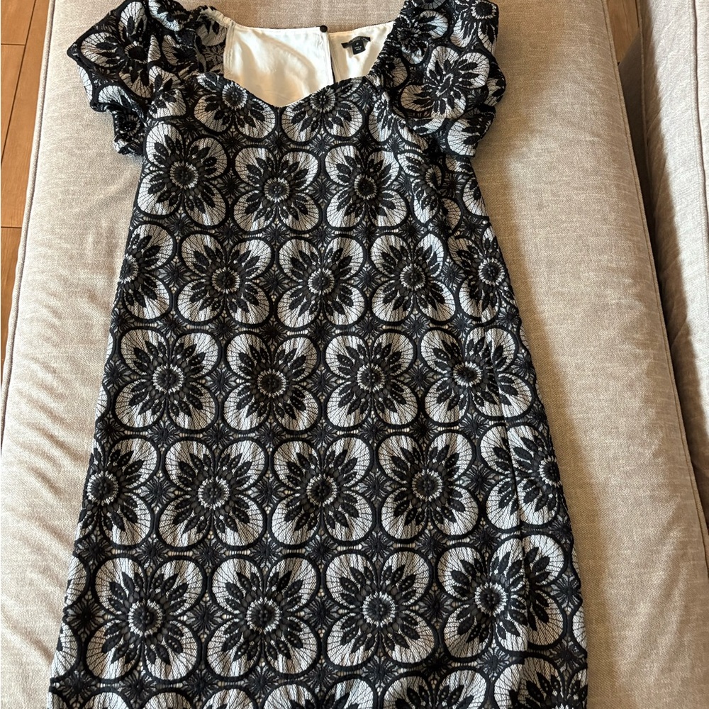 Ann Taylor Black and Cream Petite Dress
